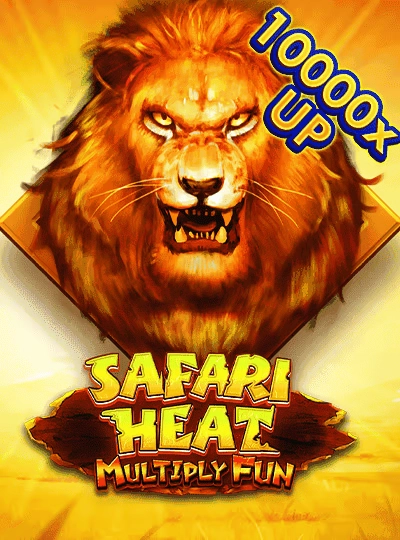Live cricket match betting cover